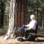 Carole riding scooter at LaPine State Park, OR. Sitting by large pine