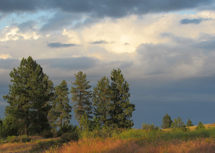 Sunbreak in storm clouds over hillside