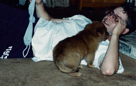 Young adult man lying on floor, laughing and holding dog toy, with puppy crawling on him.