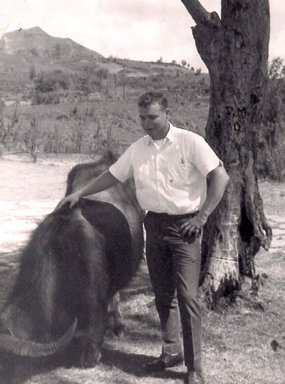 Joe standing with his hand on a tame water buffalo in Guam.